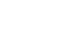 The Profit Blueprint